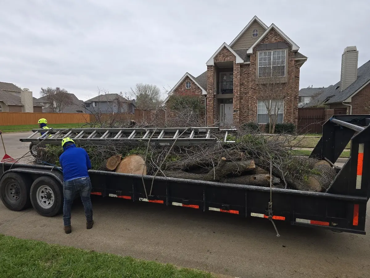 Expert Tree Fertilization with proper safety equipment in Blessing